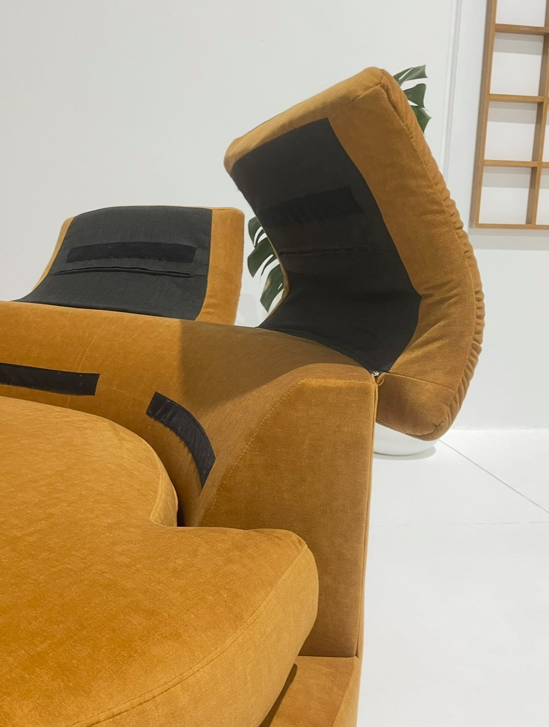 Curved Caramel Velvet Sofa