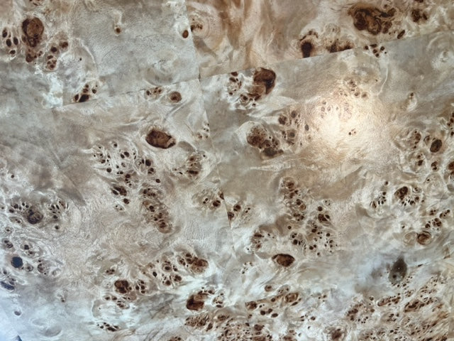 Condo Objects Burl Coffee Table