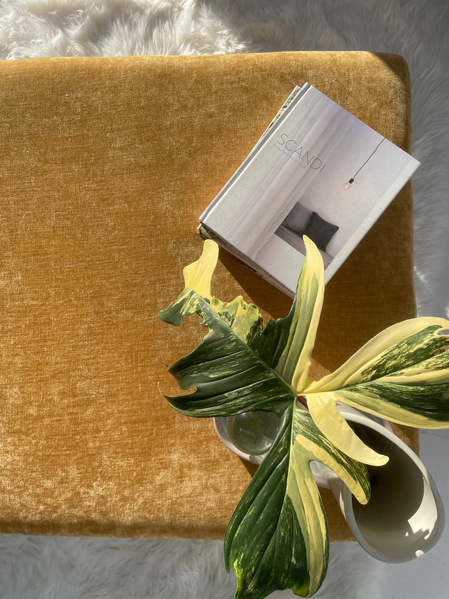 Large Mustard Daybed