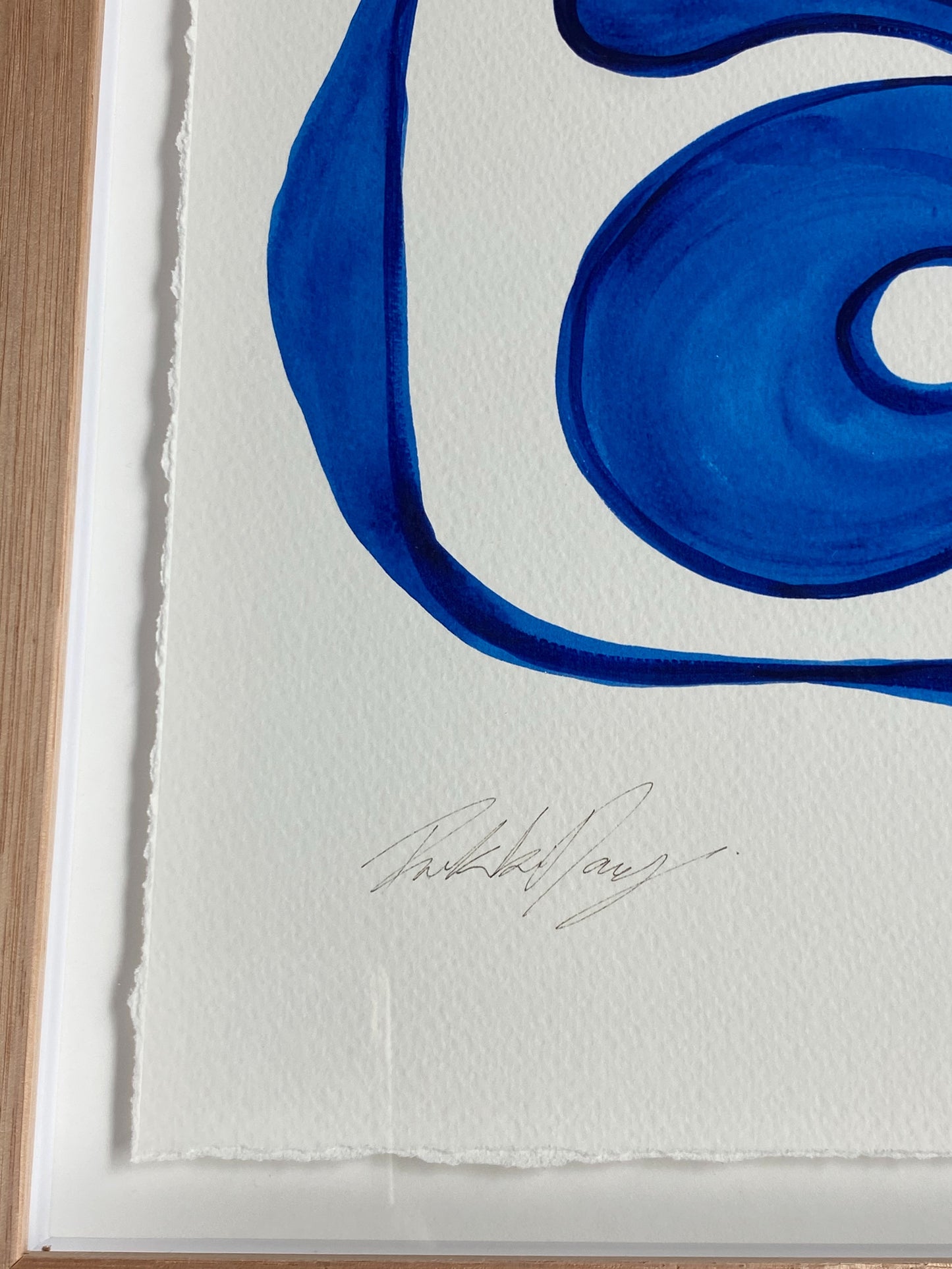 “Scales” By Rikki Day ~ Float framed in Tasmanian Oak, limited edition