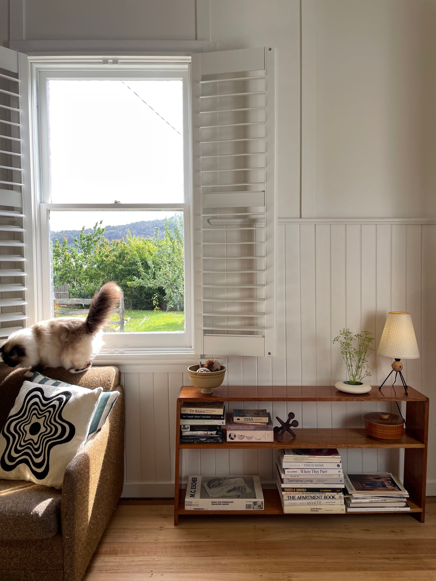 Vintage timber book shelf