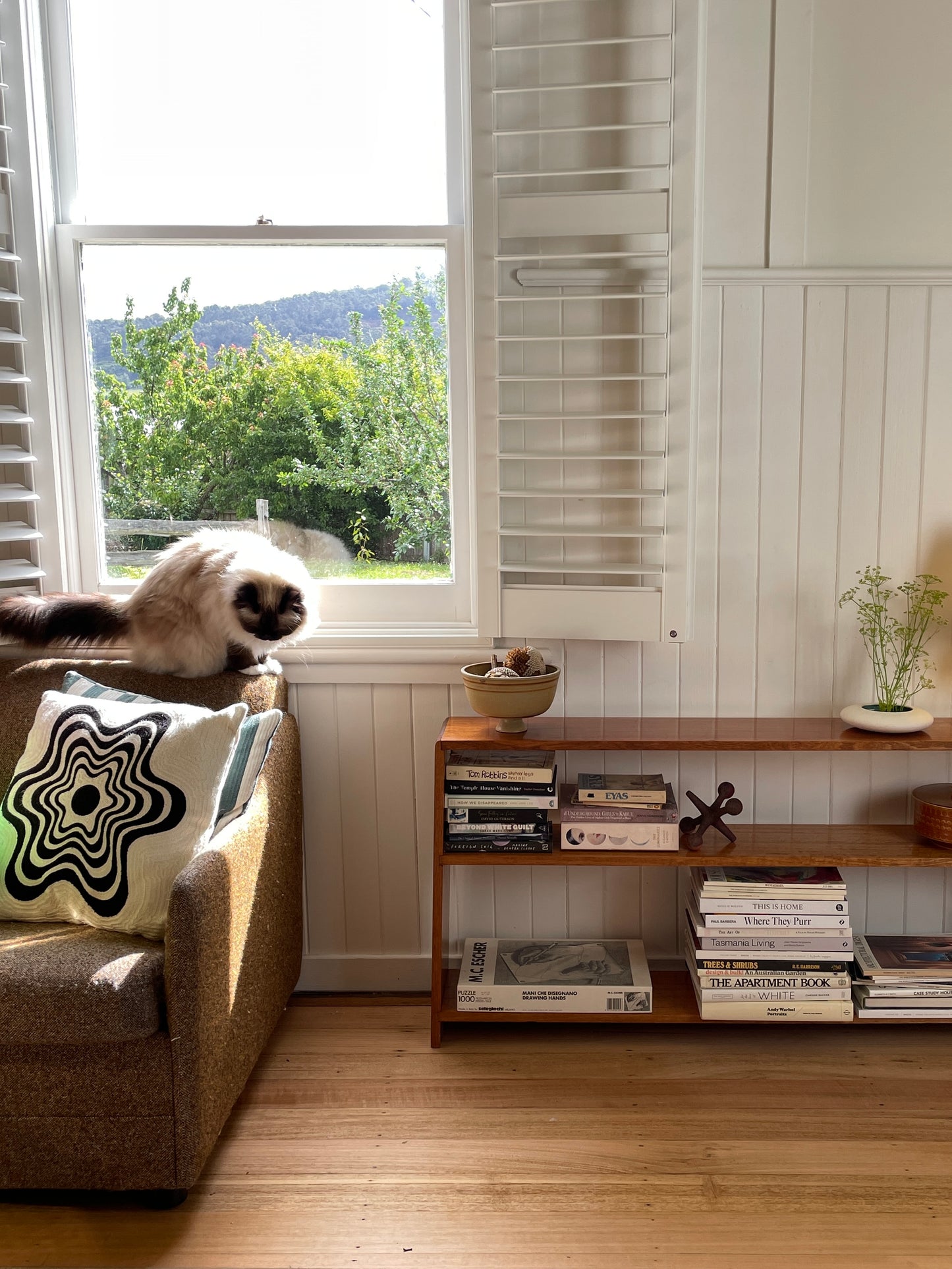 Vintage timber book shelf