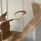 Unique Organic Teak Root Sculpture on Custom Plinth