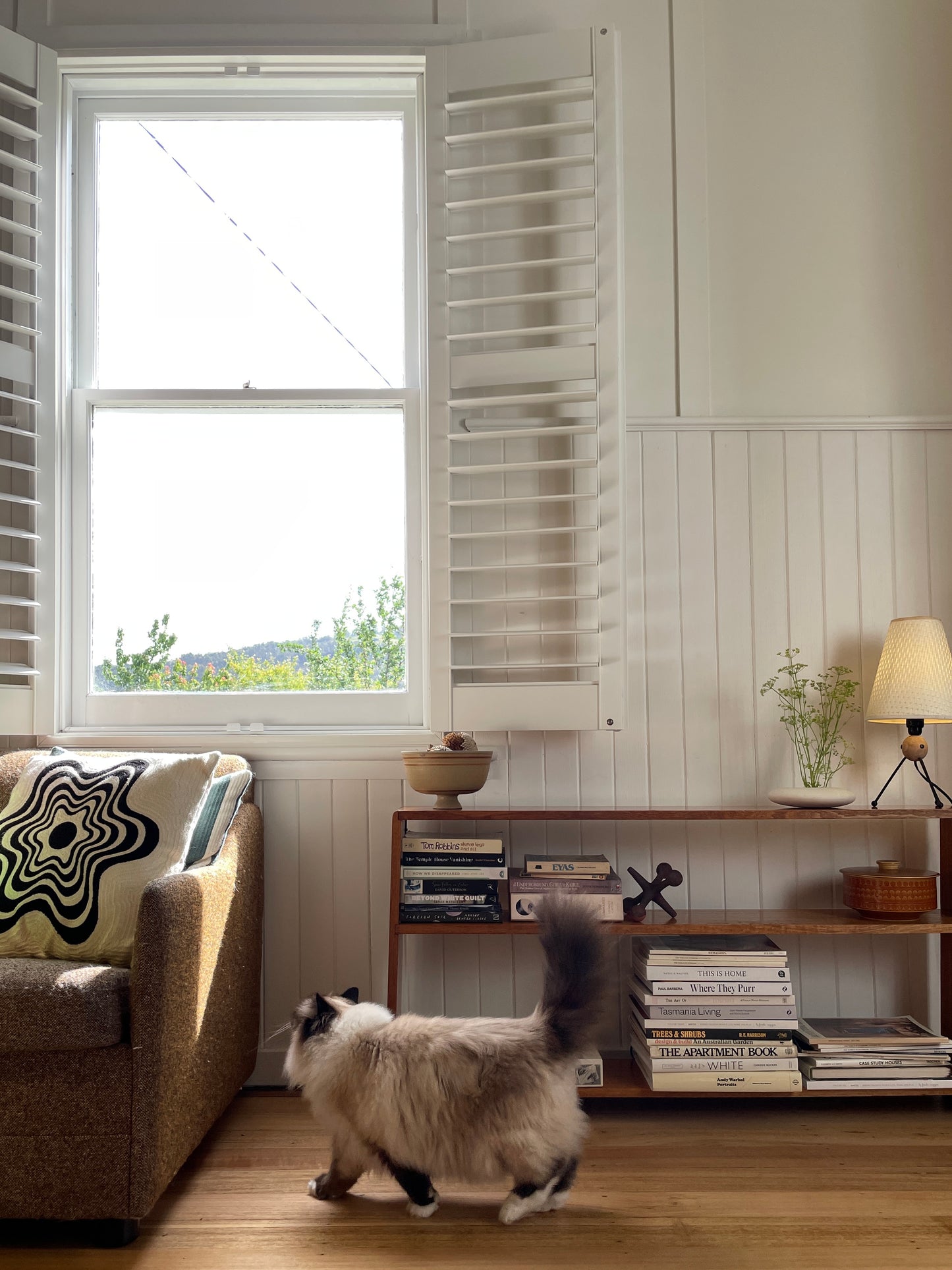 Vintage timber book shelf