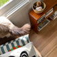 Vintage timber book shelf
