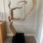 Unique Organic Teak Root Sculpture on Custom Plinth
