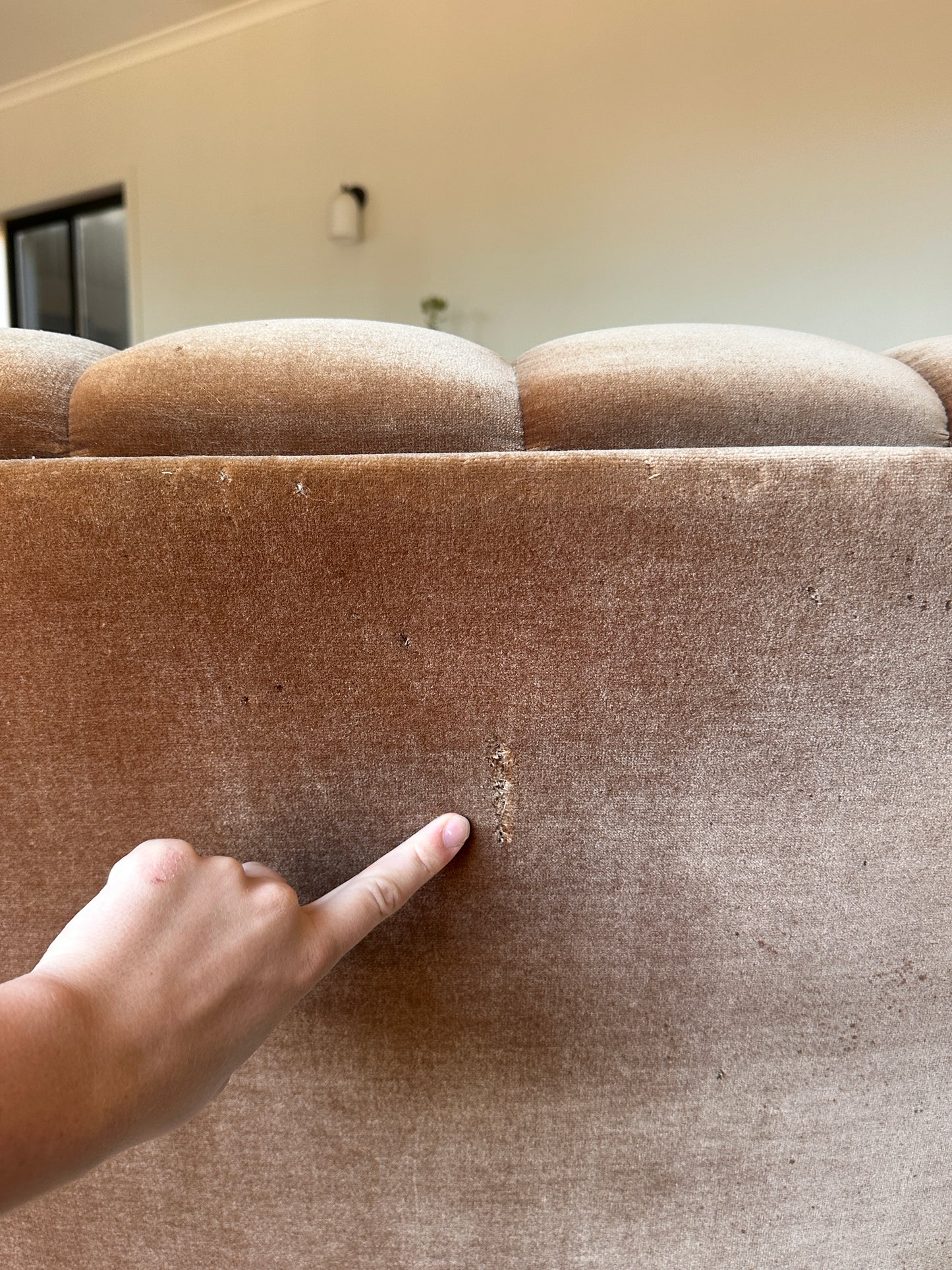 Vintage Tufted Caramel Velvet Curved Sofa