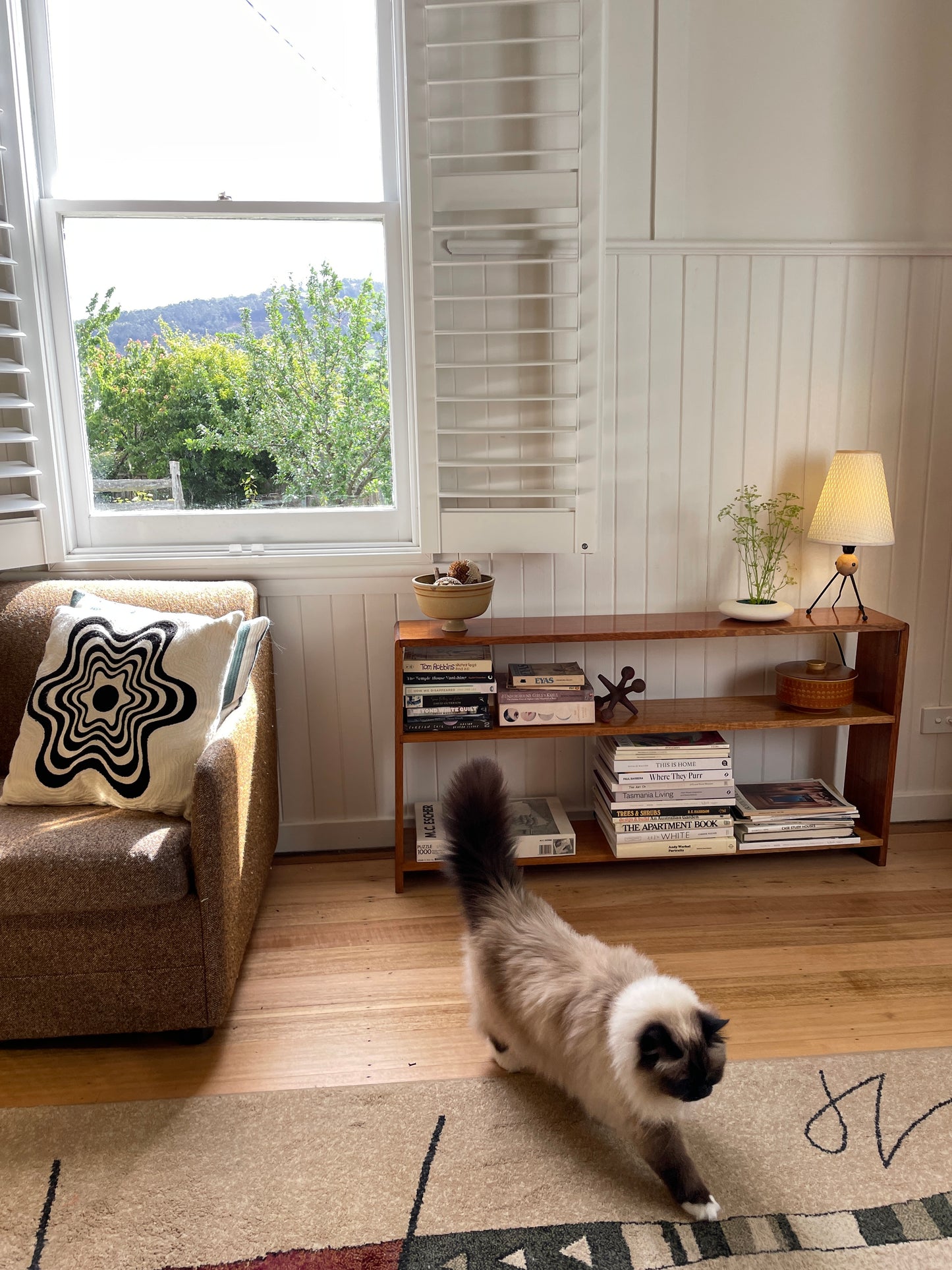 Vintage timber book shelf