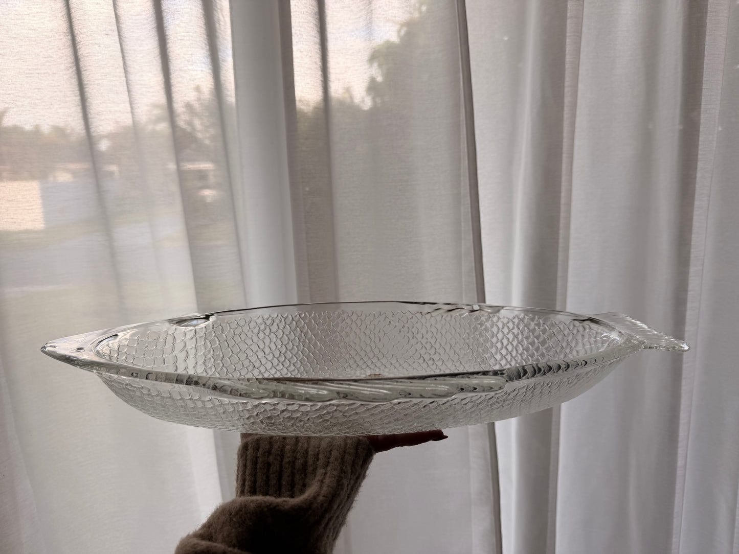 Rare USA Oven-Proof Glass Fish Platter | XL Deep Serving Dish