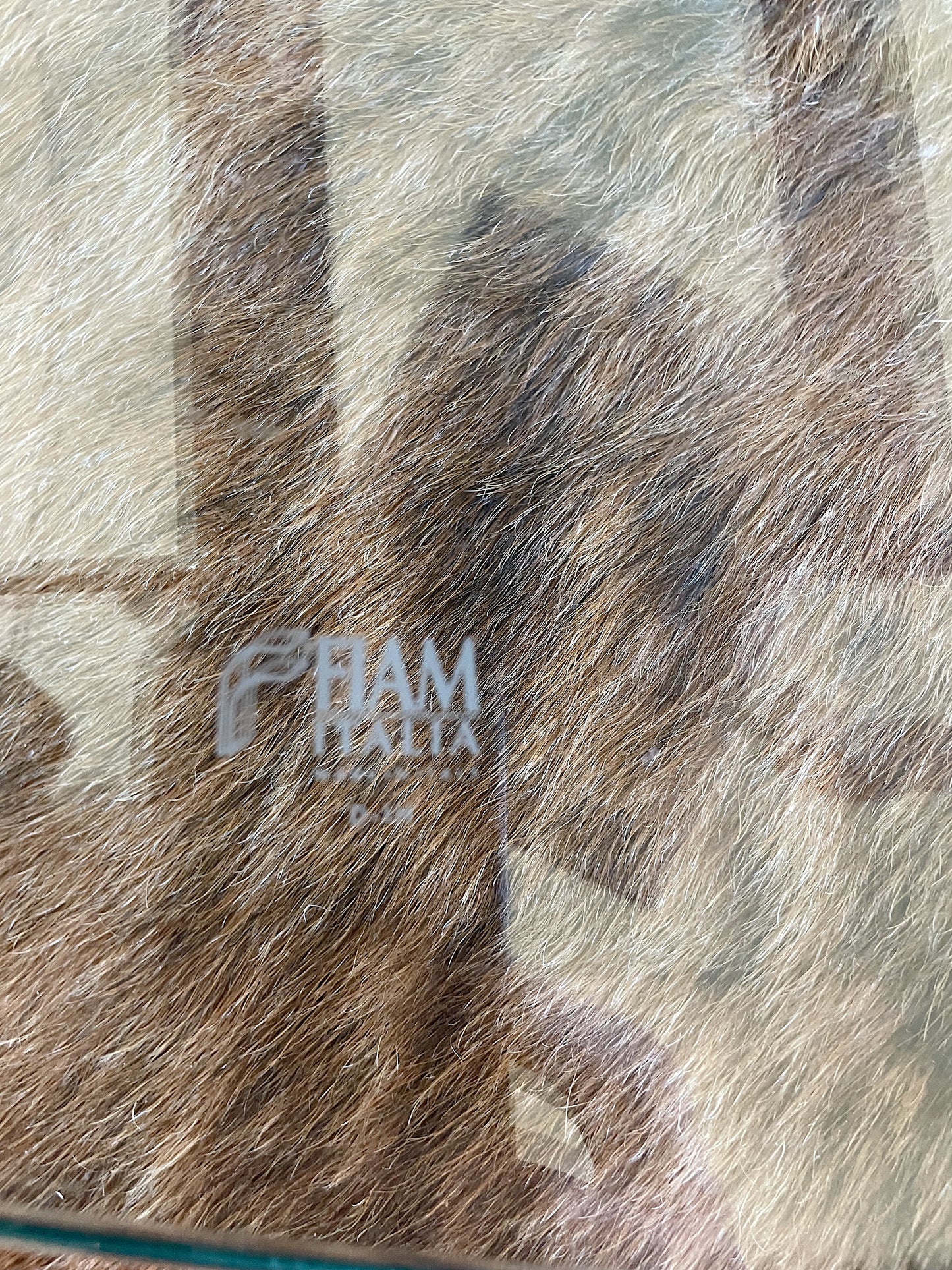 Fiam Italia Curved Glass Coffee Table with Magazine Rack