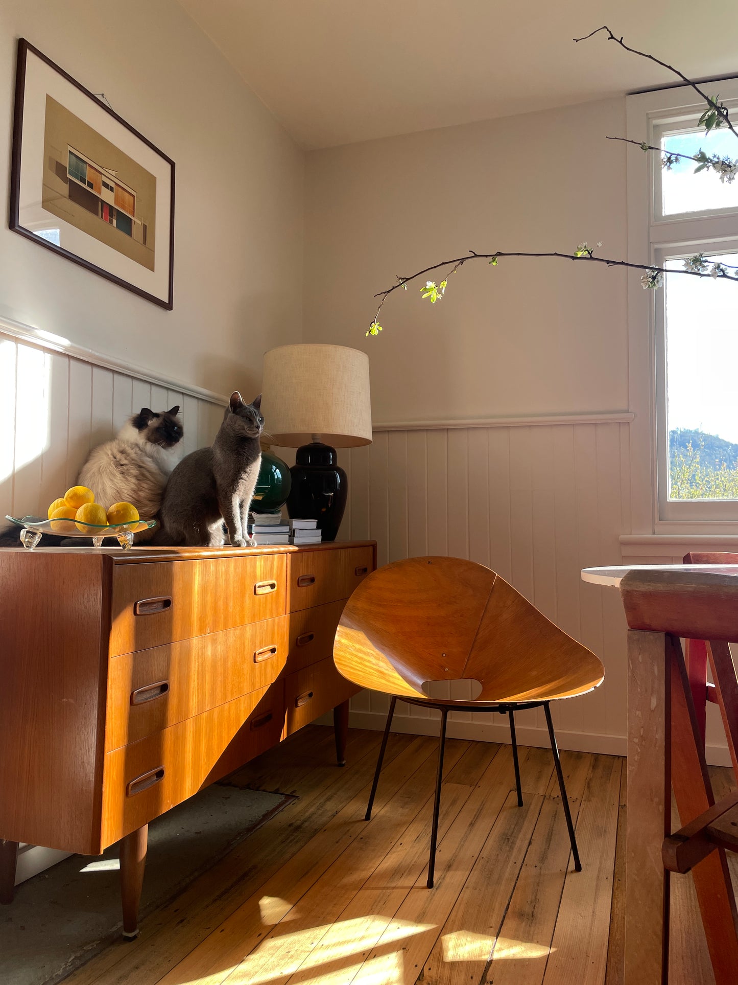 ON HOLD - Mid Century ‘Kone’ chair by Roger McLay