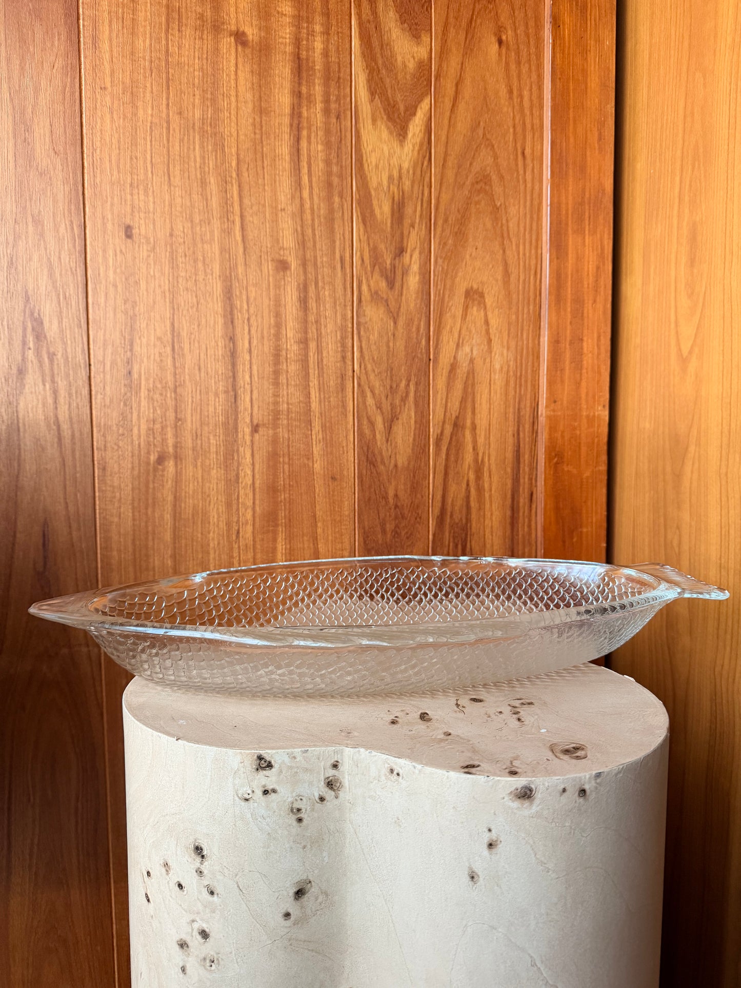 Rare USA Oven-Proof Glass Fish Platter | XL Deep Serving Dish