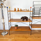 Modulex Modular Wall Unit