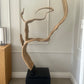 Unique Organic Teak Root Sculpture on Custom Plinth