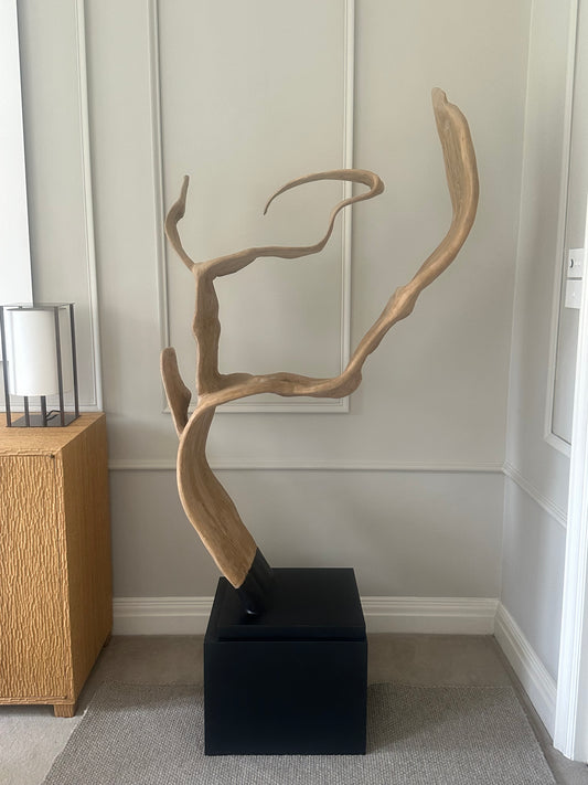 Unique Organic Teak Root Sculpture on Custom Plinth