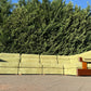 Timber & Corduroy Modular Sofa Set
