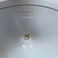 Knoll Saarinen Oval Dining Table 2440mm