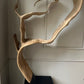Unique Organic Teak Root Sculpture on Custom Plinth