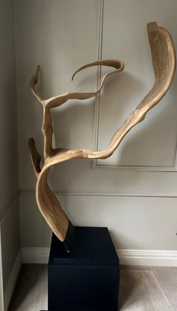 Unique Organic Teak Root Sculpture on Custom Plinth