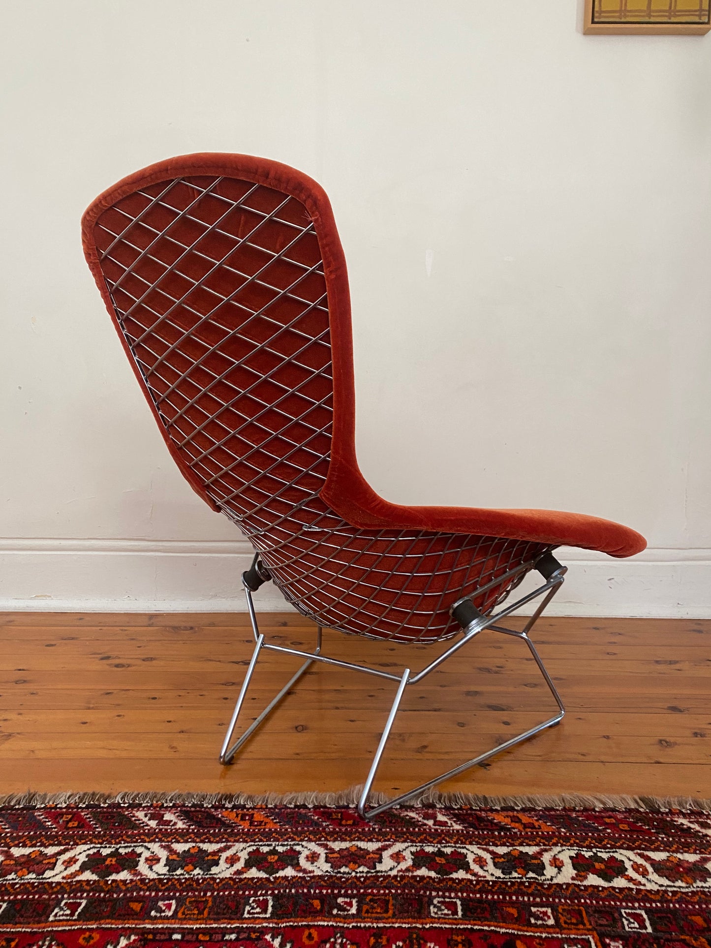 The Bird Chair by Harry Bertoia for Knoll