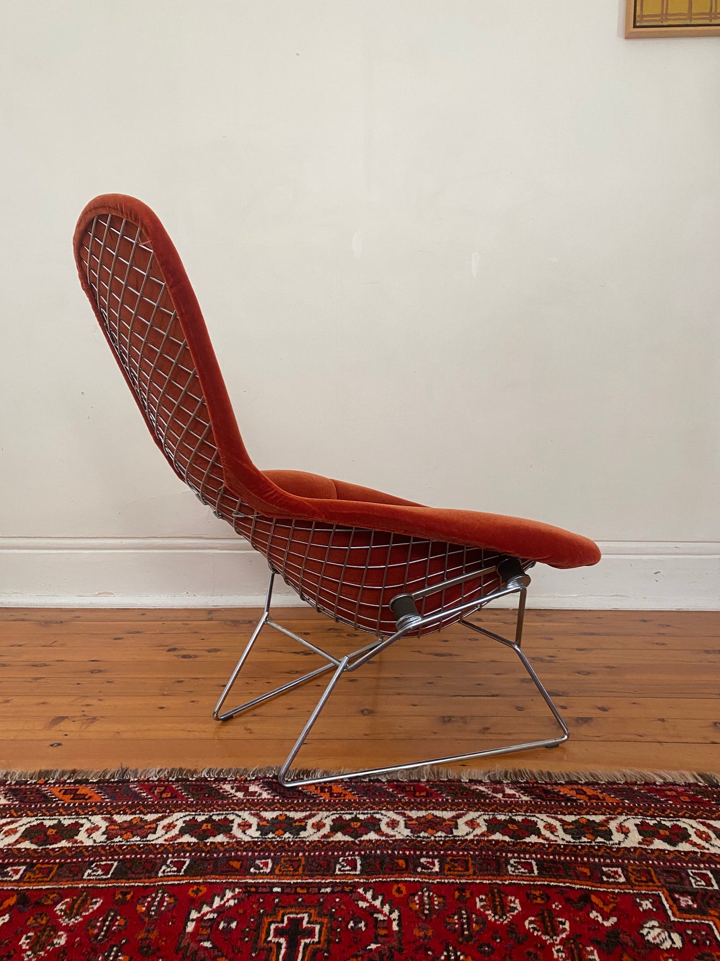 The Bird Chair by Harry Bertoia for Knoll