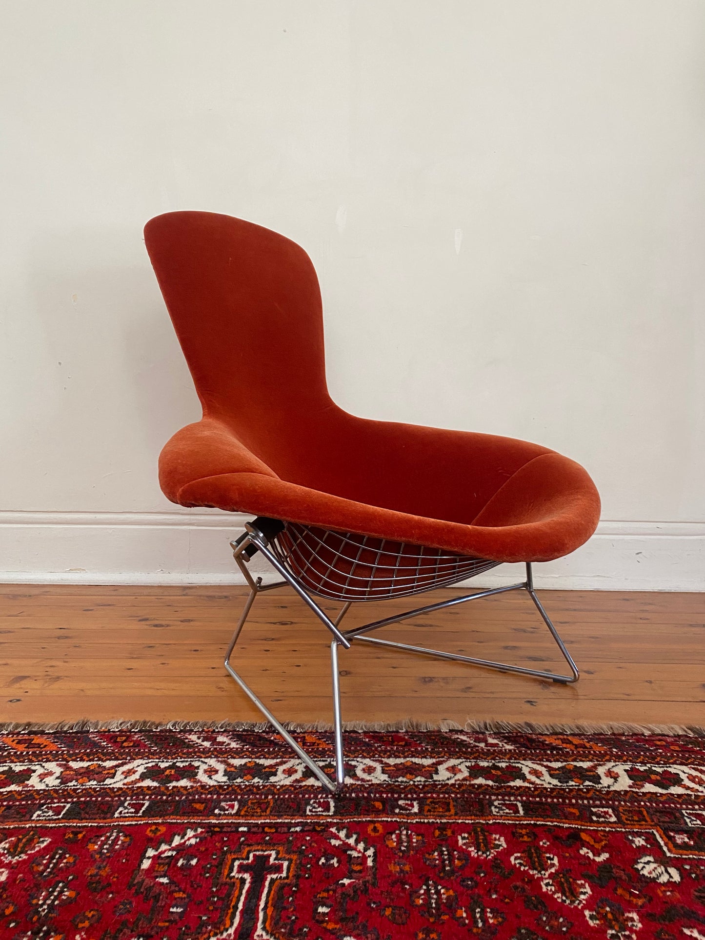 The Bird Chair by Harry Bertoia for Knoll