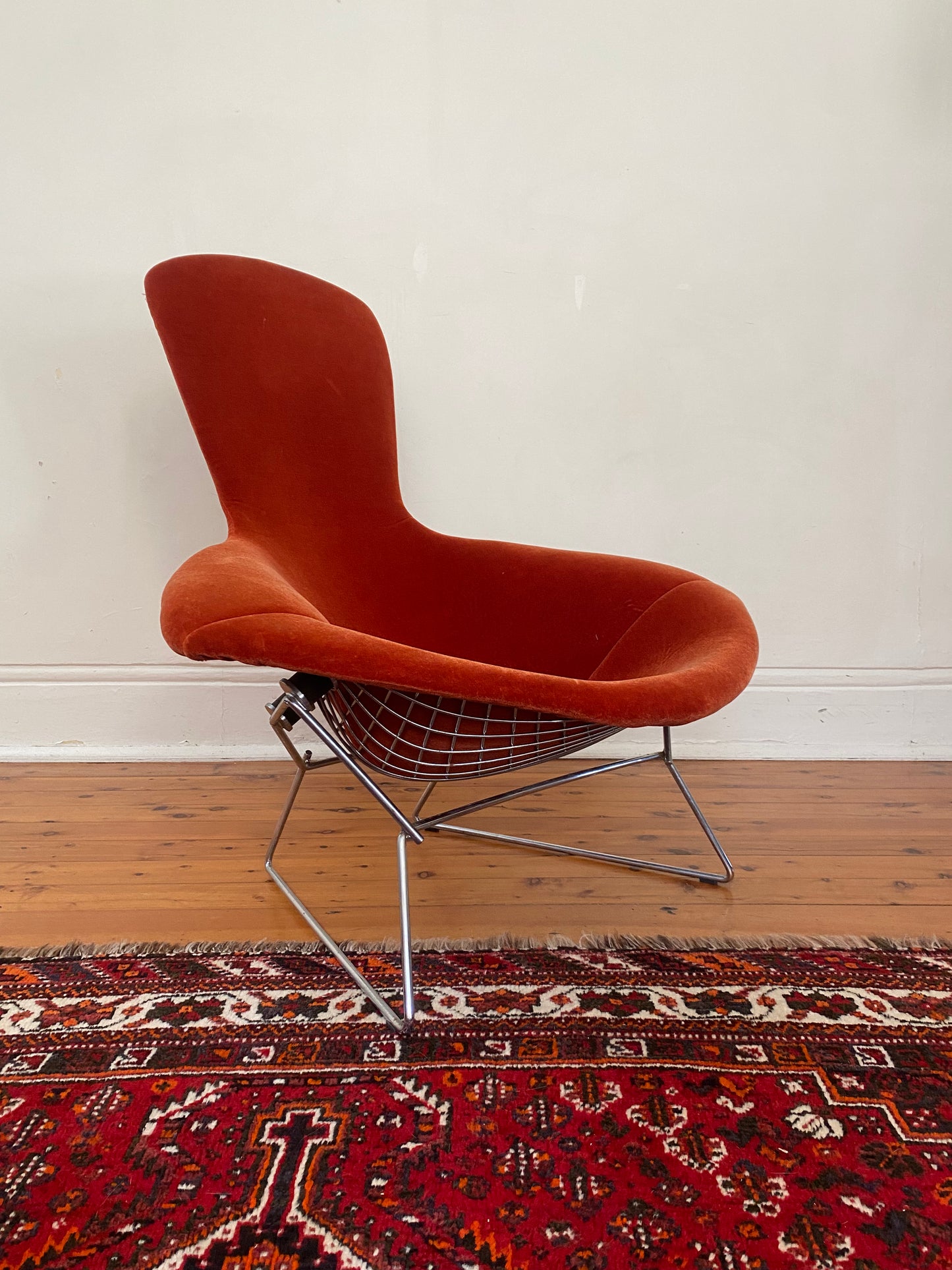 The Bird Chair by Harry Bertoia for Knoll