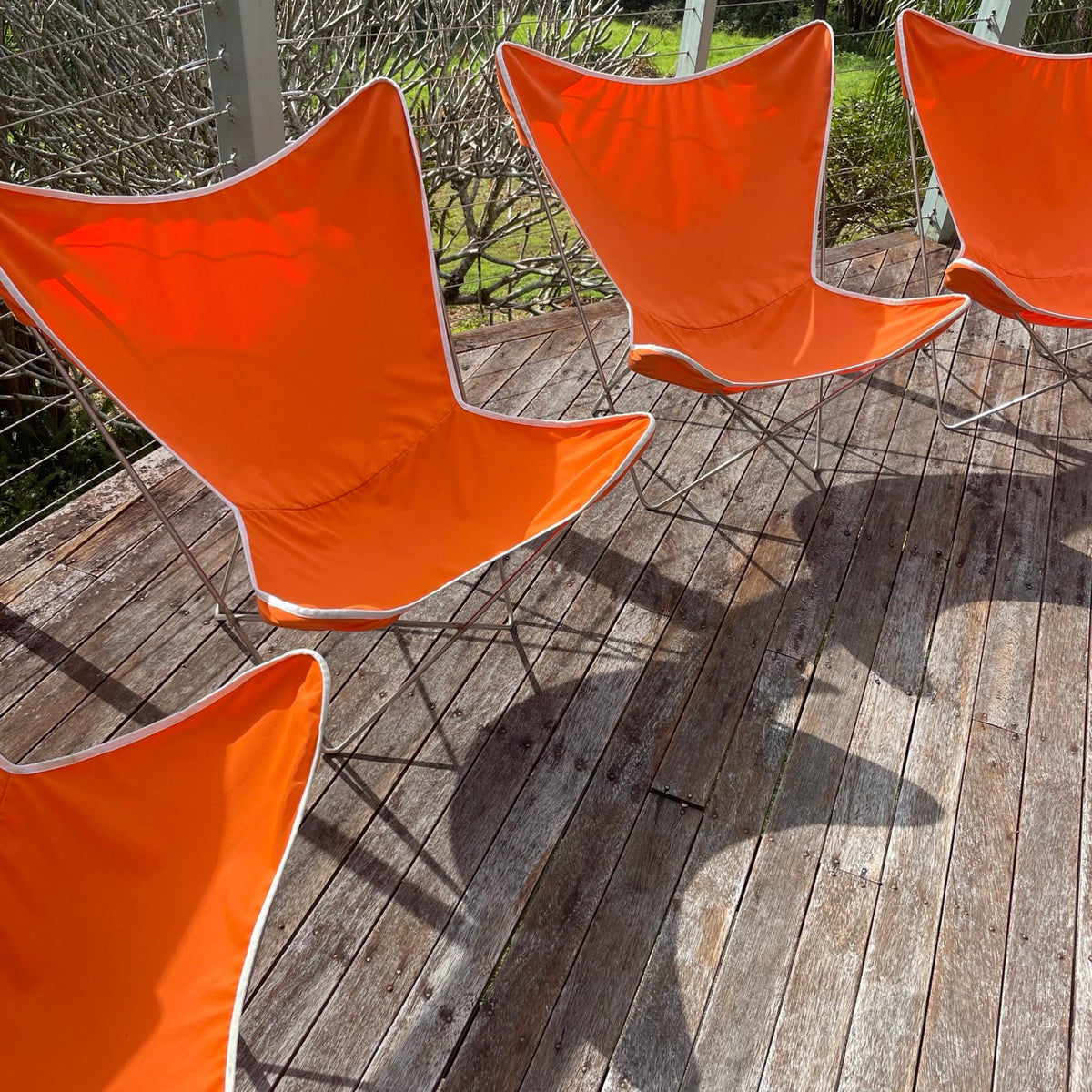Set of 4 Angelucci Butterfly Chairs