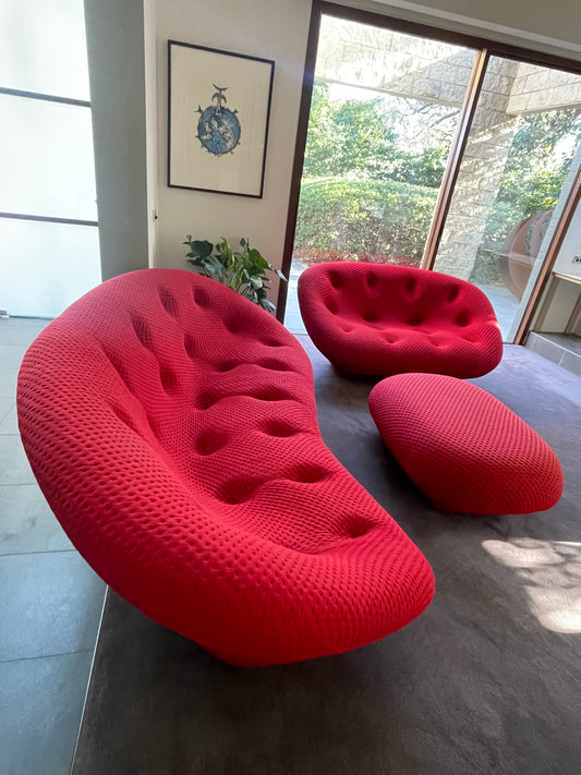 Lignet Roset Ploum Three Seater, Two Seater & Ottoman