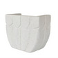 Bloss - Wall Light