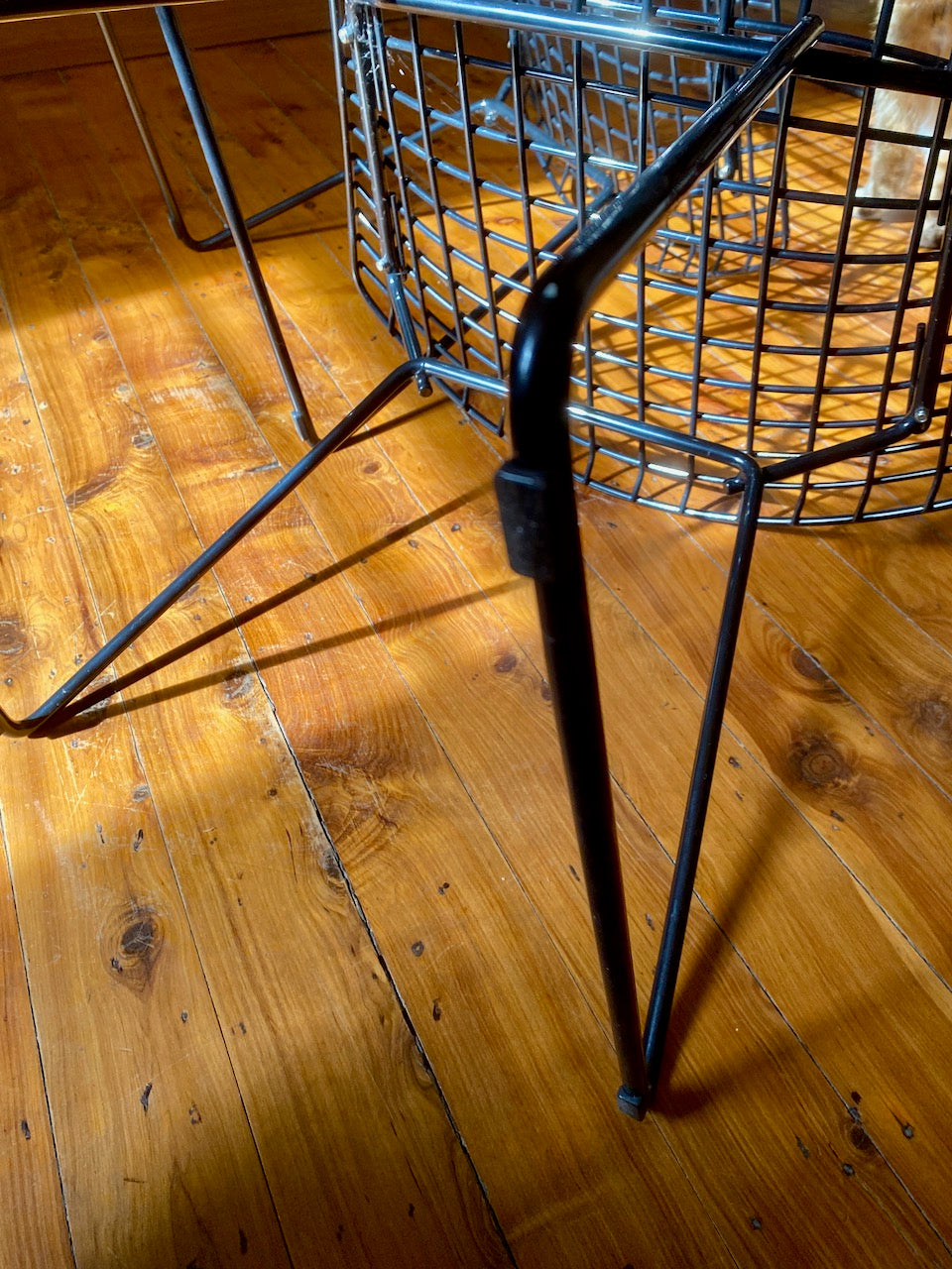 Set of Six Knoll Bertoia Side Chairs