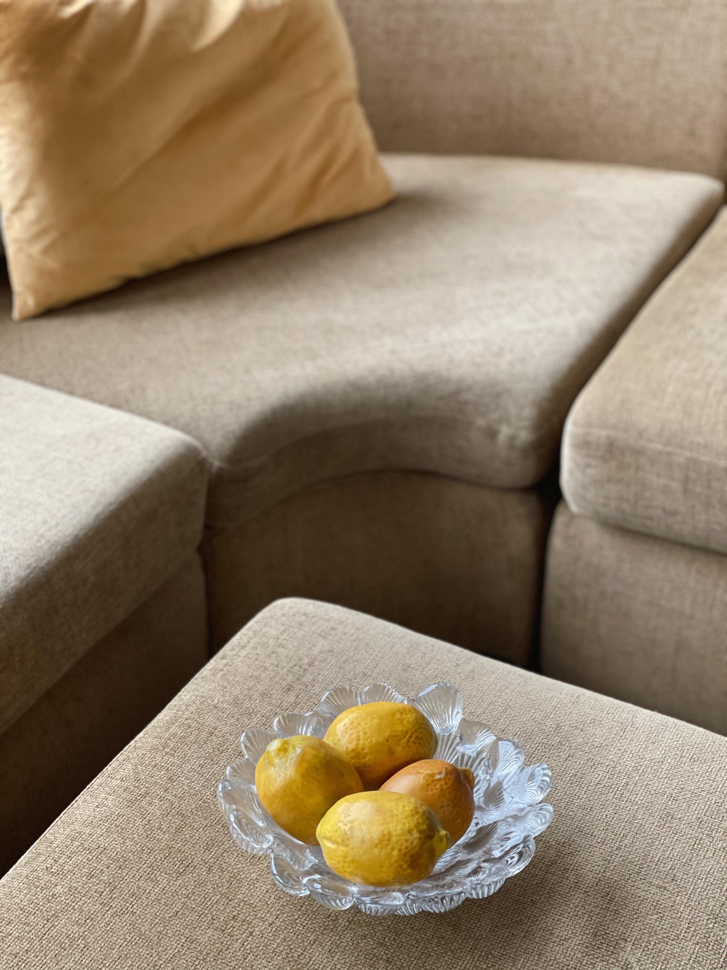 Curved Modular Sofa with Ottoman
