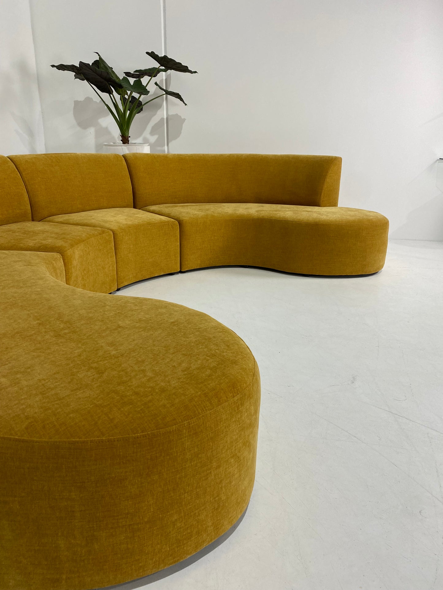 - Mustard Four Piece Curved Sofa Set