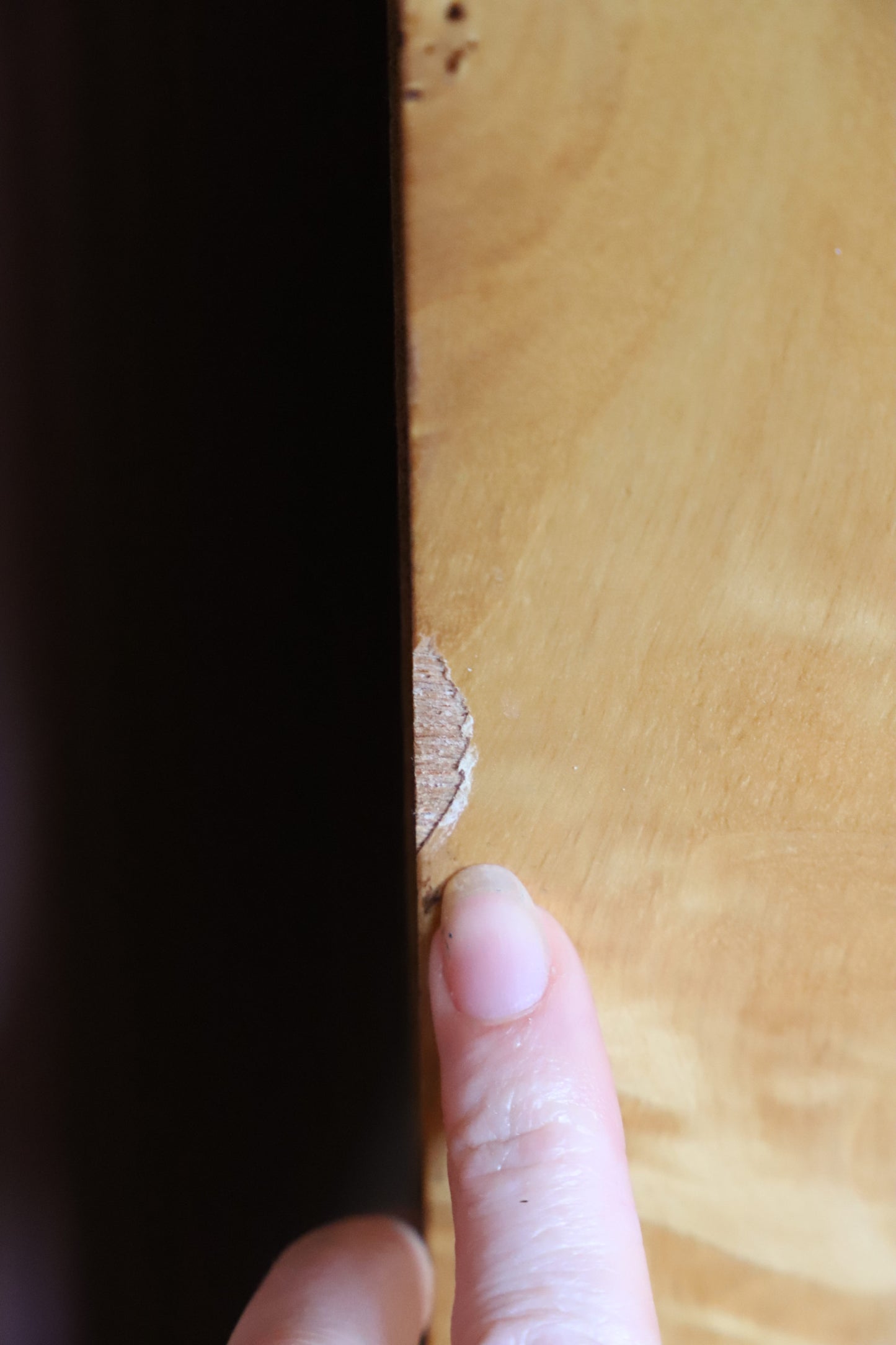 Burl Veneer Low Line Deco Dresser