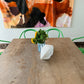 - Large Square Travertine Dining Table