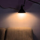 DCW Editions 'Le Lamp Gras' Floor Lamp
