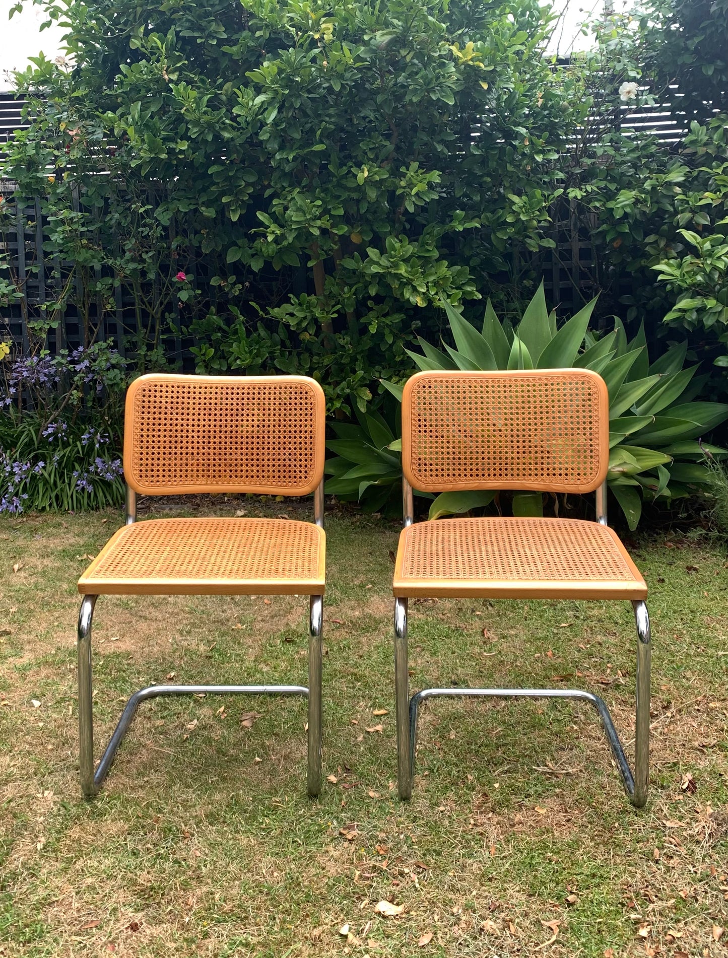 Set of 6 Marcel Breuer Cesca B32 Dining Chairs, Made in Italy