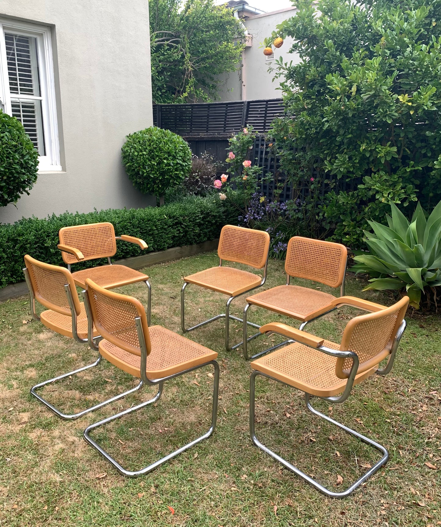 Set of 6 Marcel Breuer Cesca B32 Dining Chairs, Made in Italy