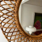 Vintage Italian Bamboo Mirror by Bonacina