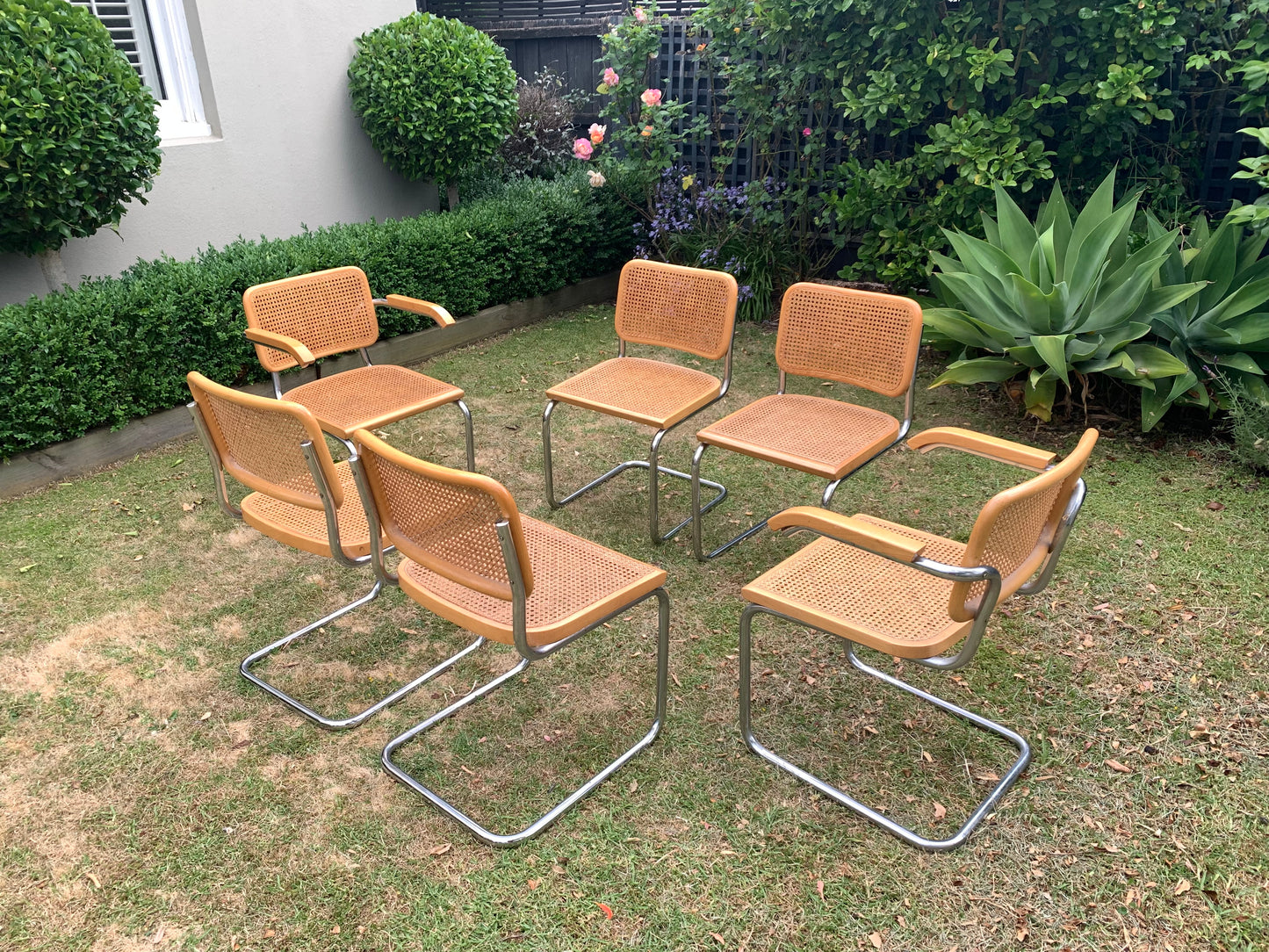 Set of 6 Marcel Breuer Cesca B32 Dining Chairs, Made in Italy