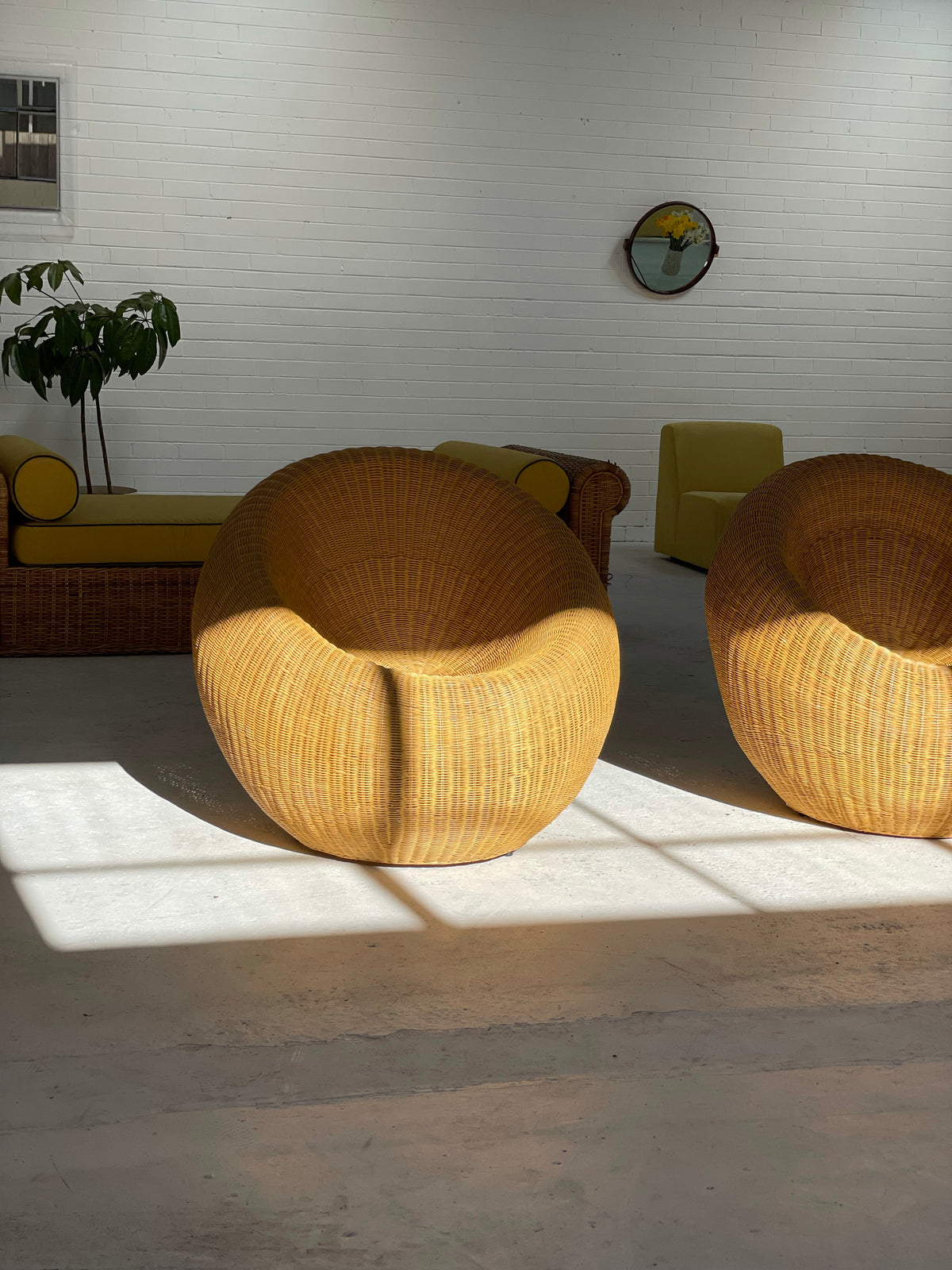 Cane Tub Chairs