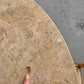 Tessellated Fossil Dining Table