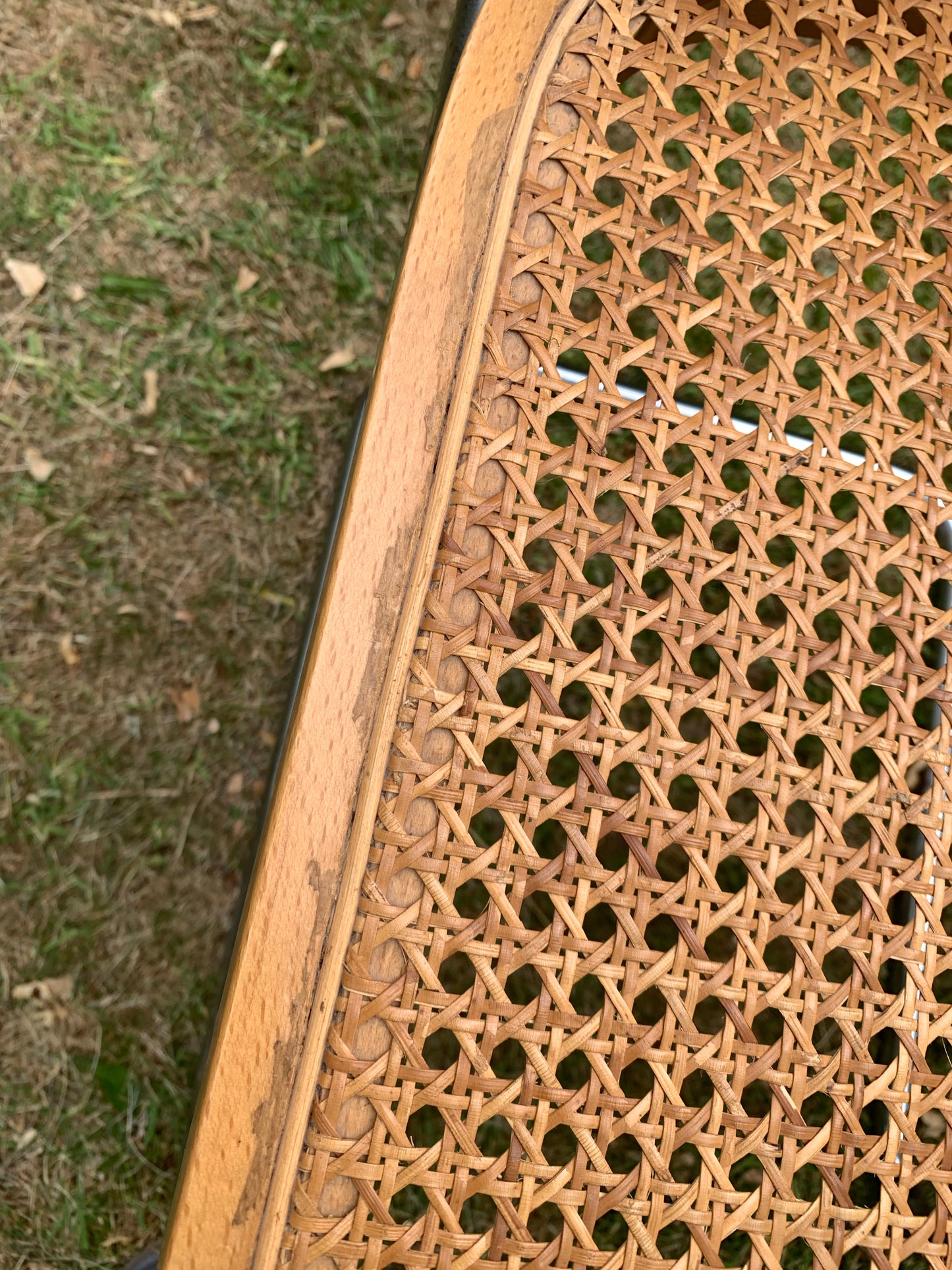 Set of 6 Marcel Breuer Cesca B32 Dining Chairs, Made in Italy