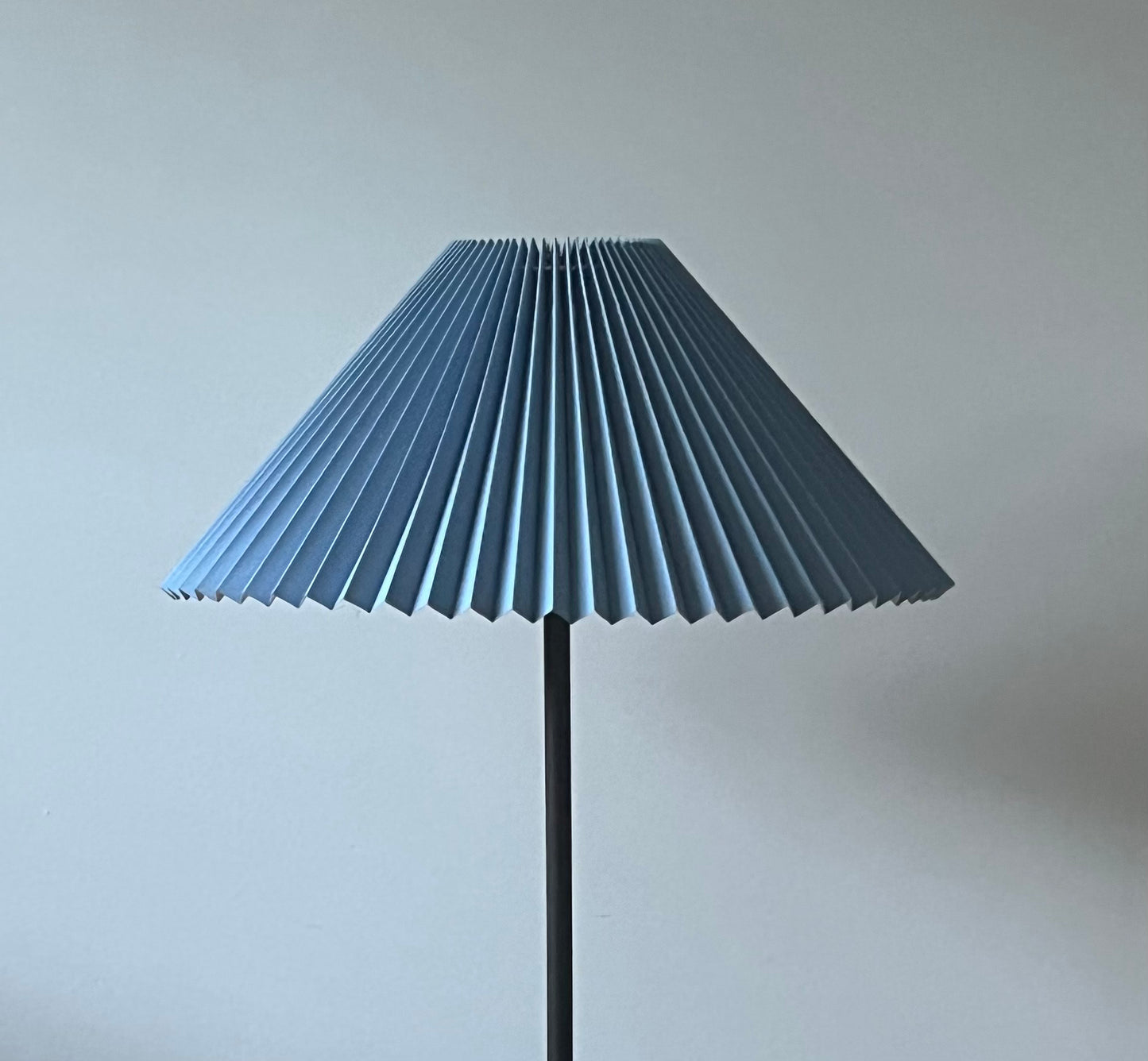 - Vintage Iron Floor Lamp with Pleated Shade