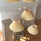 Pleated Italian lamp shades