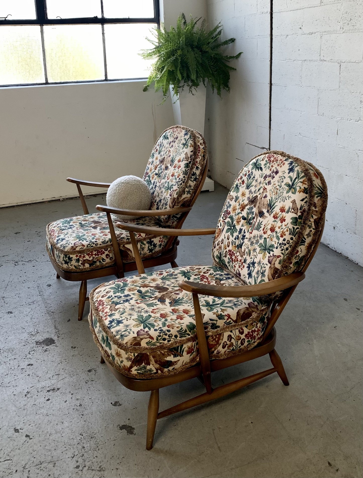 Elm Wood Armchair by Ercol, UK - One Left