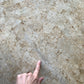 Tessellated Fossil Dining Table