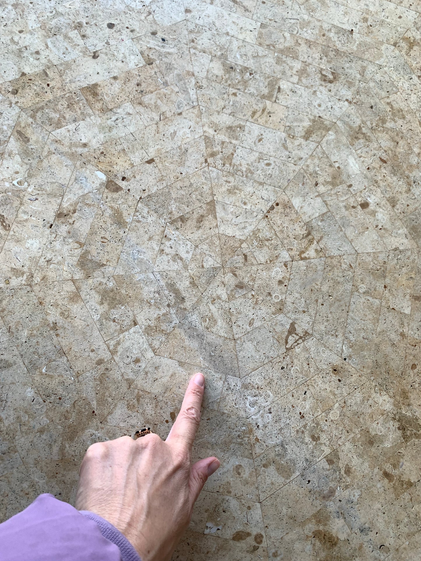 Tessellated Fossil Dining Table
