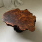 - Vintage Freeform Burl Coffee Table