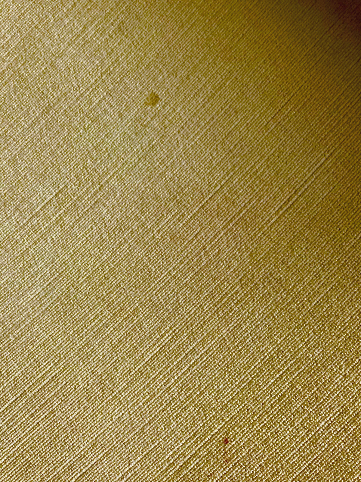 Chubby Velvet Lounge Chair
